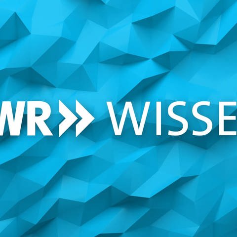 SWR Wissen Logo für die Über uns Seite 